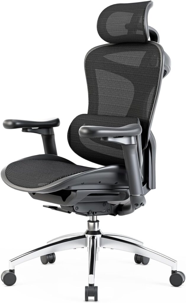 Sihoo Doro-C300